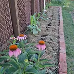 Bio Garden Sarajevo - Kremes, Seosko Domacinstvo Pogledine Apartamento