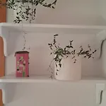 Lägenhet Bio Garden Sarajevo - Kremes, Seosko Domacinstvo Pogledine