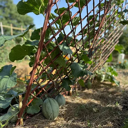 Bio Garden Sarajevo - Kremes, Seosko Domacinstvo Pogledine