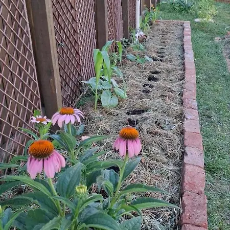 Bio Garden Sarajevo - Kremes, 公寓