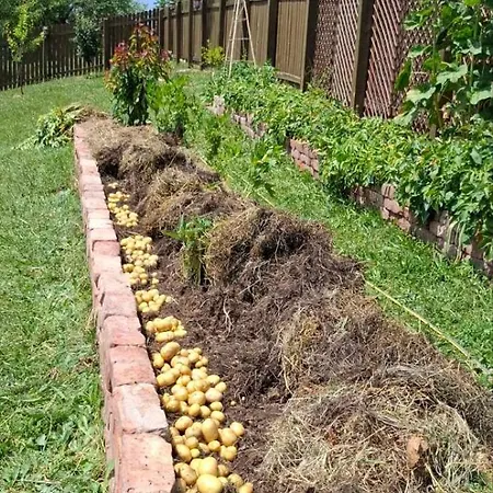 Bio Garden Sarajevo - Kremes, 公寓 *