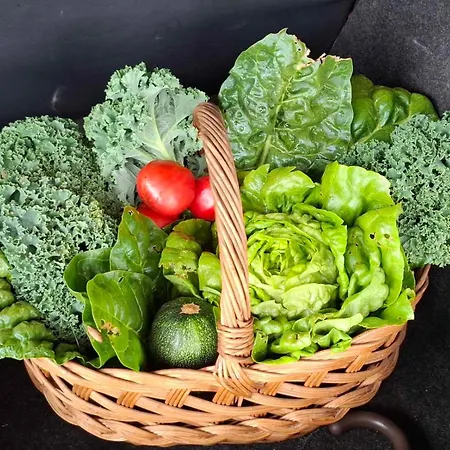 Bio Garden Sarajevo - Kremes, Seosko Domacinstvo Pogledine *