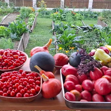 Apartamento Bio Garden Sarajevo - Kremes, Seosko Domacinstvo Pogledine Vogošća