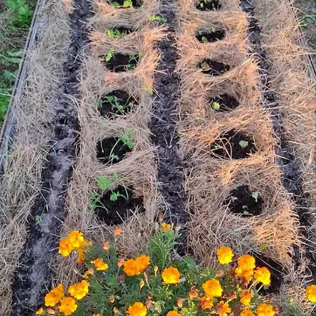 Bio Garden Sarajevo - Kremes, Seosko Domacinstvo Pogledine Vogošća