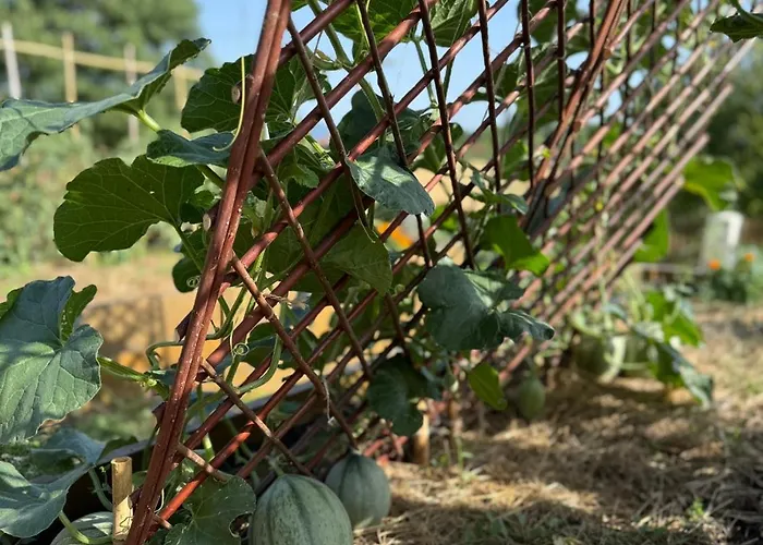 Bio Garden Sarajevo - Kremes,