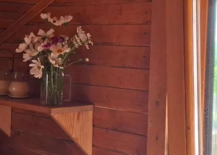 Bio Garden Sarajevo - Kremes,