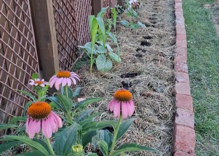 Bio Garden Sarajevo - Kremes, 公寓