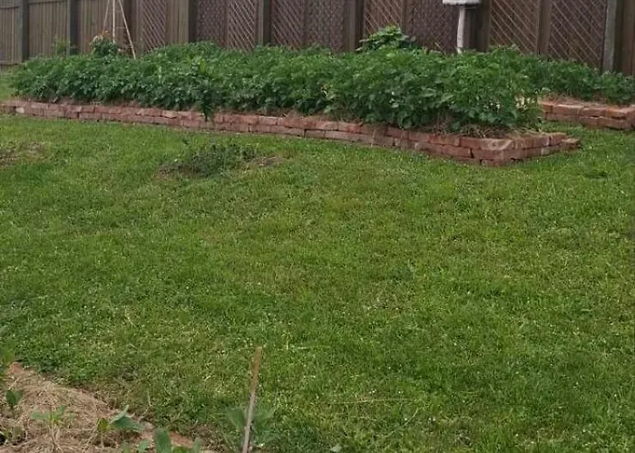 Bio Garden Sarajevo - Kremes, Vogošća