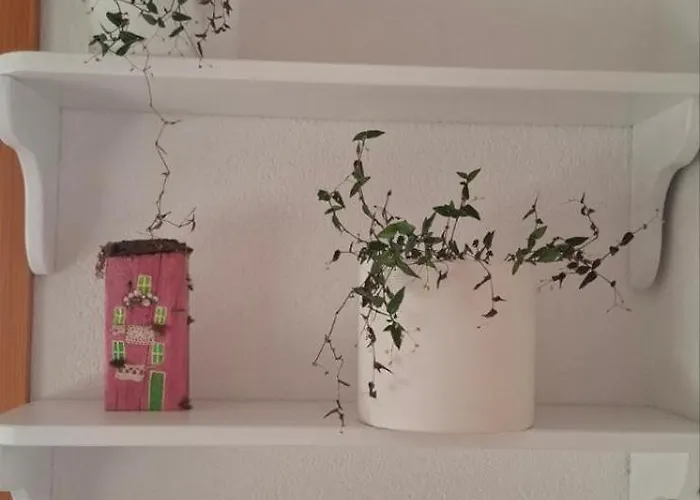 公寓 Bio Garden Sarajevo - Kremes,