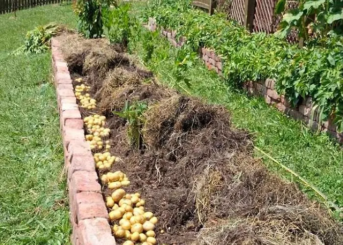 Bio Garden Sarajevo - Kremes, 公寓 *